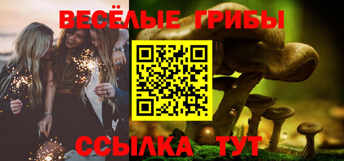 Псилоцибиновые грибы Psilocybe  Псилоцибиновые грибы Cubensis  Вход с VPN  Бахчисарай 